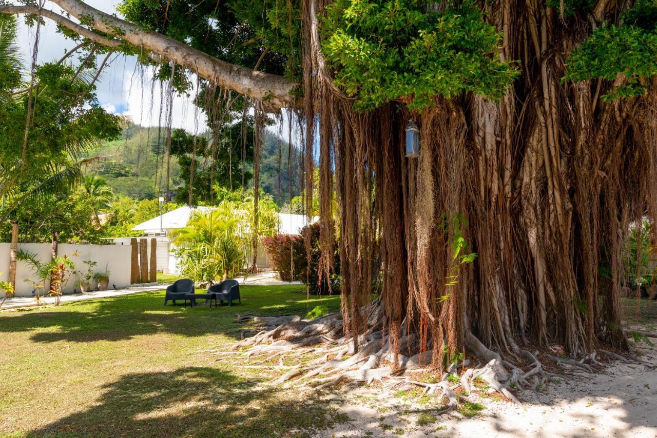 Moorea Beach Lodge Kültér fotó