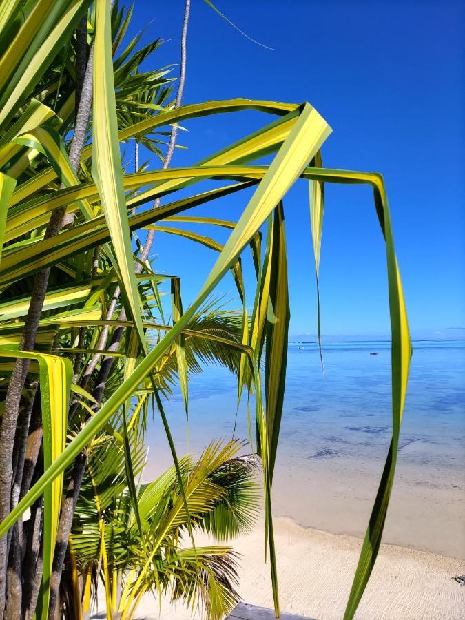 Moorea Beach Lodge Kültér fotó