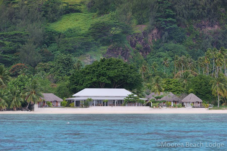 Moorea Beach Lodge Kültér fotó